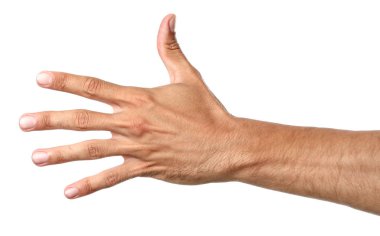 Beyaz arkaplanda erkek eli