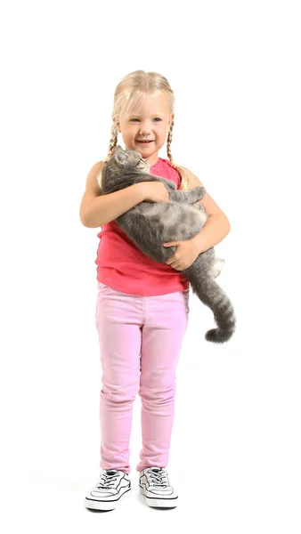 Niña con lindo gato sobre fondo blanco — Foto de Stock