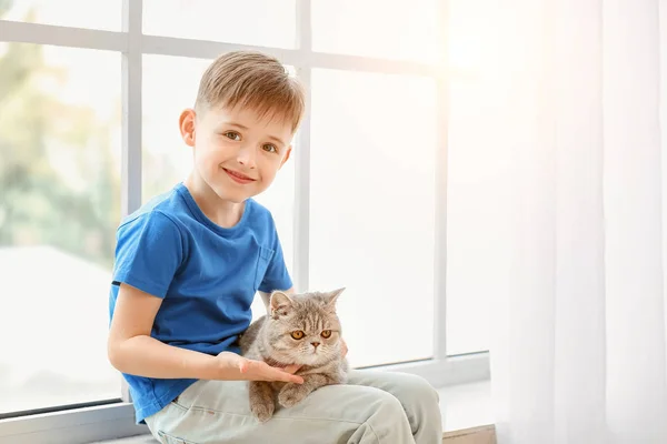 Petit garçon avec chat mignon près de la fenêtre — Photo