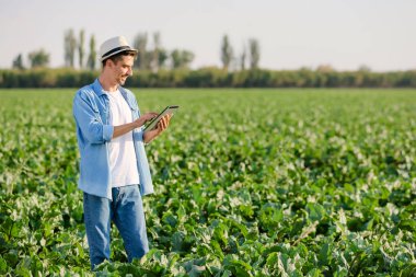 Tarlada çalışan tablet bilgisayarlı erkek çiftçi