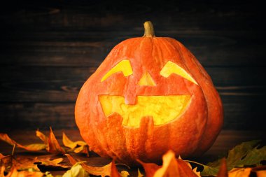 Ahşap arka planda yaprakları olan Cadılar Bayramı kabağı