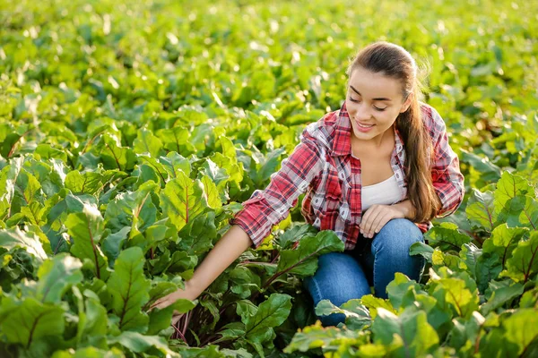 Kvinnliga jordbrukare som arbetar i fält — Stockfoto