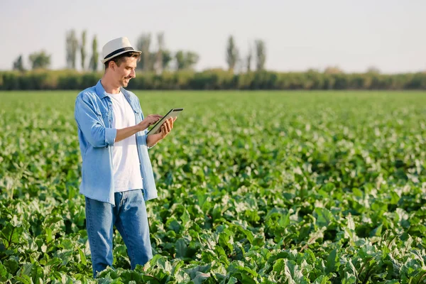 Male farmer with tablet computer working in field