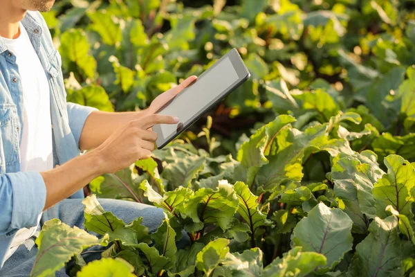 Мужчина фермер с планшетным компьютером работает в поле — стоковое фото