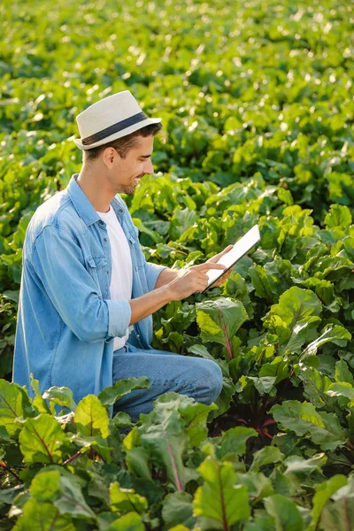 Hombre agricultor con tableta de trabajo en el campo — Foto de Stock