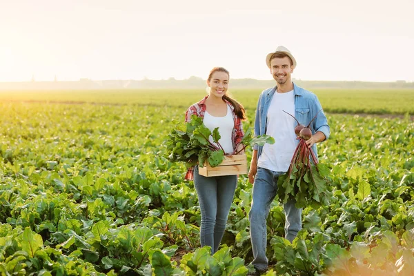 Young farmers with harvest of beetroots in field — Stock Photo, Image