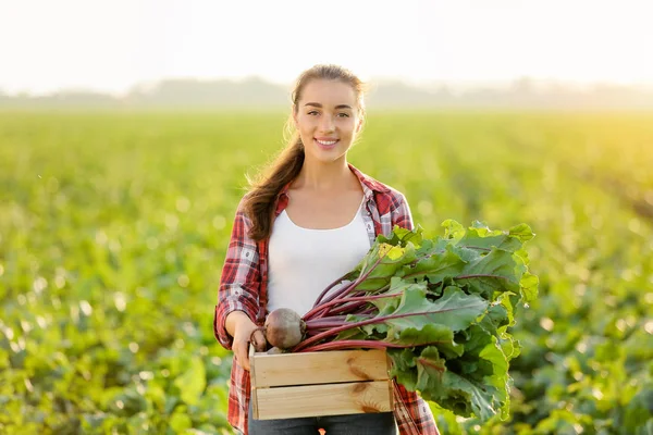 Agricultora con cosecha de remolacha en el campo — Foto de Stock