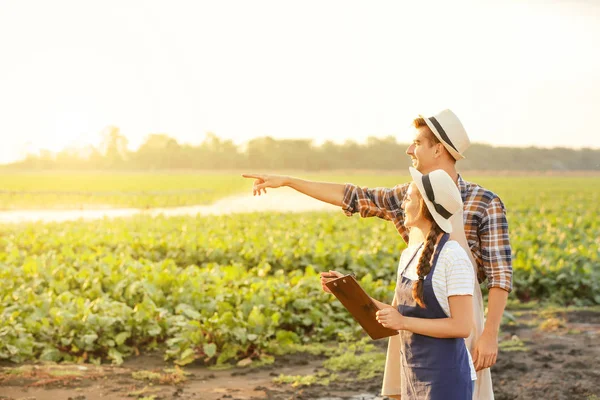 Young farmers working in field — Stock Photo, Image