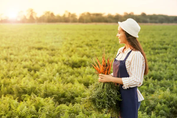Agricultora com colheita de cenouras no campo — Fotografia de Stock