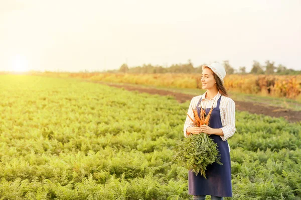 Kvinnlig jordbrukare med skörd av morötter i fält — Stockfoto