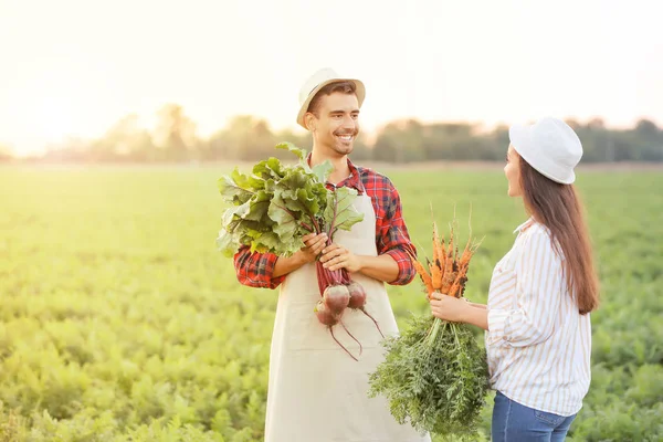 Young farmers with harvest in field — Stock Photo, Image