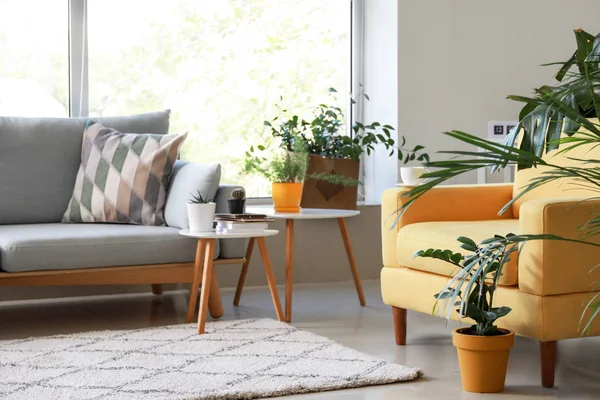 Elegante interior de la habitación con hermosas plantas de interior —  Fotos de Stock