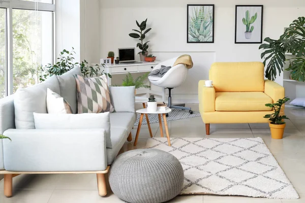 Stylish interior of room with beautiful houseplants — Stock Photo, Image