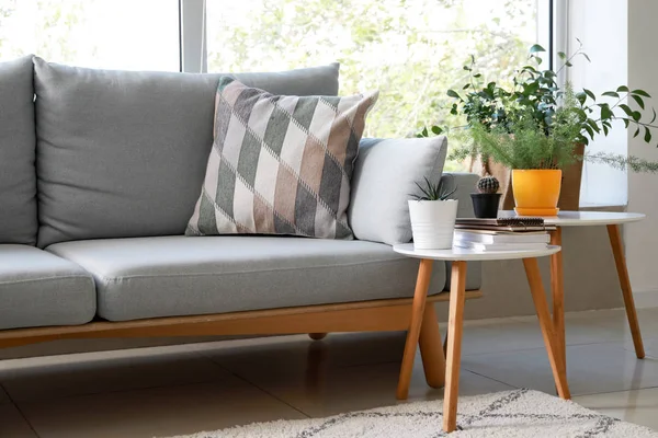 Interior elegante do quarto com belas plantas de sala — Fotografia de Stock