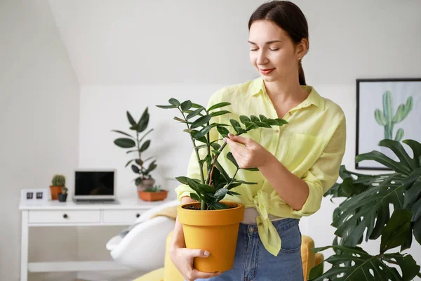 Ung kvinna med vacker krukväxt i kruka hemma — Stockfoto