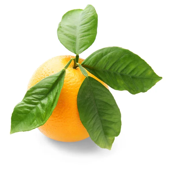 Naranja madura sobre fondo blanco —  Fotos de Stock
