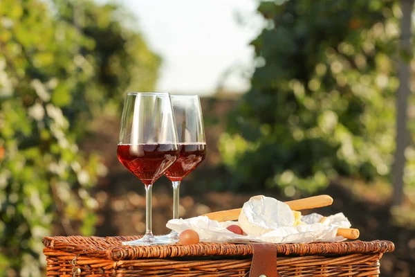 Bicchieri di vino gustoso e snack su cestino da picnic in vigna — Foto Stock