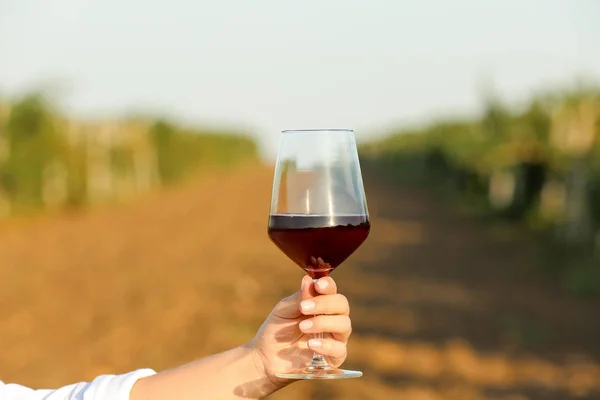 Donna con bicchiere di vino saporito in vigna — Foto Stock