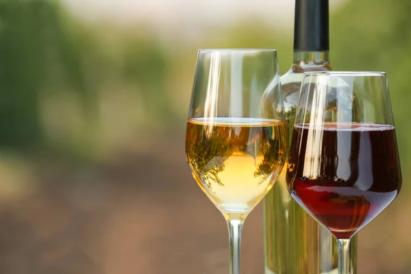 Стаканы и бутылка вкусного вина в винограднике — стоковое фото
