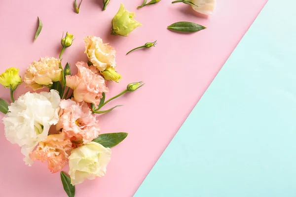 아름다운 조화를 이루는 색깔 배경의 꽃들 — 스톡 사진