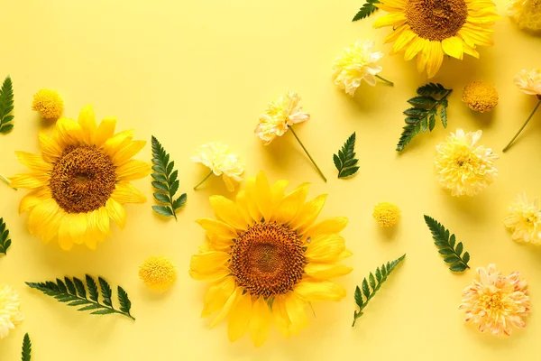 Renk arkaplanında çiçekler olan güzel kompozisyon