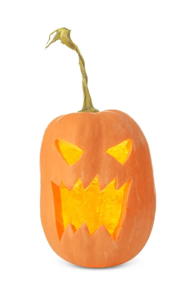 Halloween pumpkin on white background — Stock Photo, Image