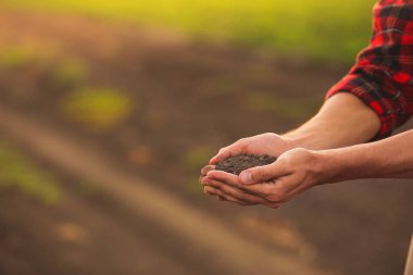 Tarlada toprak yığını olan erkek çiftçi