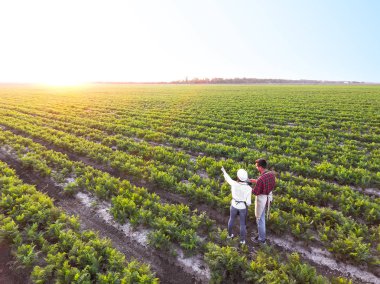 Tarlada çalışan genç çiftçiler
