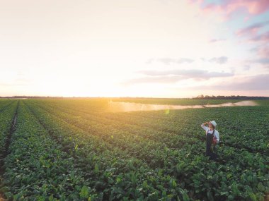 Alanında çalışan kadın çiftçi