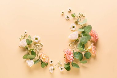 Renk arkaplanında çiçekler olan güzel kompozisyon