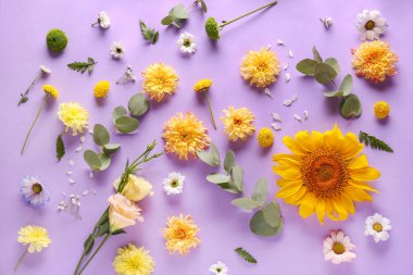 Renk arkaplanında çiçekler olan güzel kompozisyon