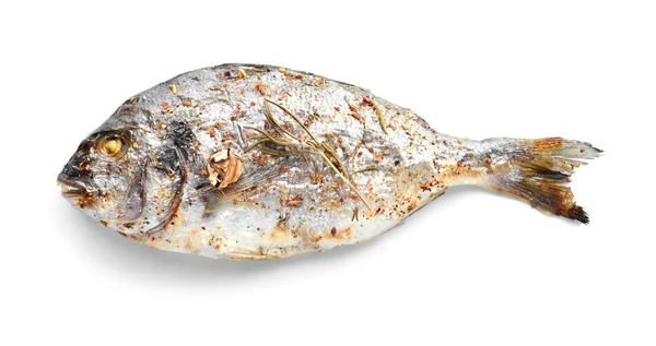 Elkészített dorádó hal fehér alapon — Stock Fotó