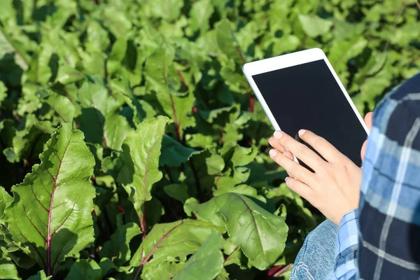 フィールドで作業タブレットコンピュータを持つ女性農家 — ストック写真