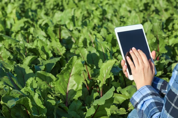 Tarlada çalışan tablet bilgisayarlı kadın çiftçi. — Stok fotoğraf