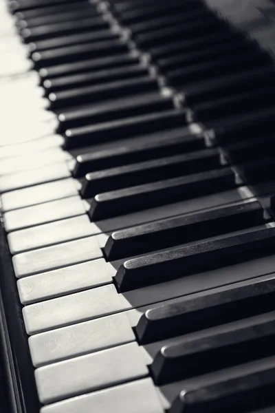 Keys of grand piano, closeup — ストック写真