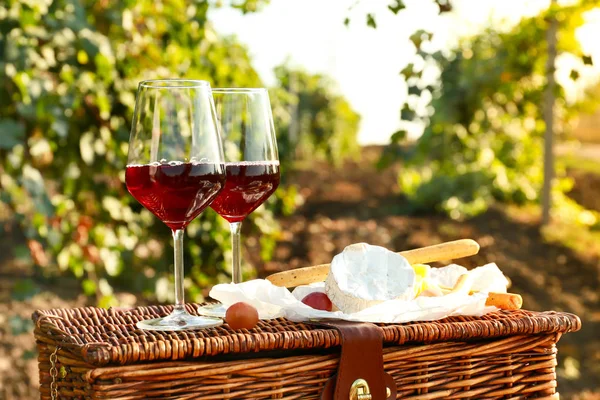 Glas smakelijke wijn en snacks op picknickmand in wijngaard — Stockfoto