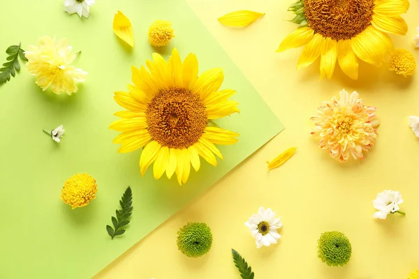 Mooie compositie met bloemen op kleur achtergrond — Stockfoto