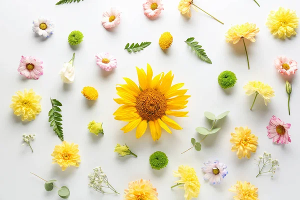 Mooie compositie met bloemen op witte achtergrond — Stockfoto