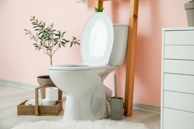 Modern seramik klozet tuvaletin içinde.