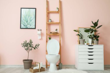 İç modern rahat tuvalet