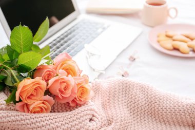 Masada ekose çiçekleri