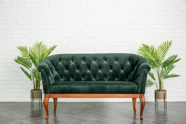 Kényelmes kanapé és szobanövények közelében fehér téglafal — Stock Fotó