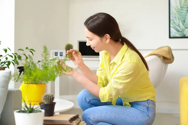 Ung kvinna tar hand om krukväxt hemma — Stockfoto
