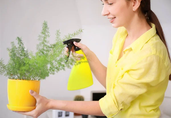Young woman spraying water on houseplant at home — Stock Photo, Image