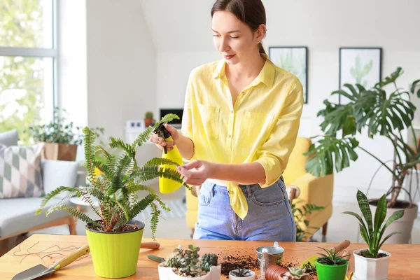 Genç kadın evde ev bitkisu püskürtme — Stok fotoğraf
