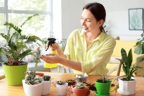 Young woman spraying water on houseplant at home — Stock Photo, Image