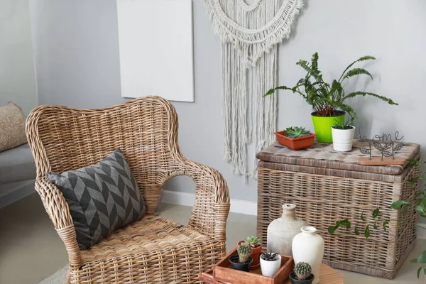 Elegante interior de la habitación con hermosas plantas de interior — Foto de Stock