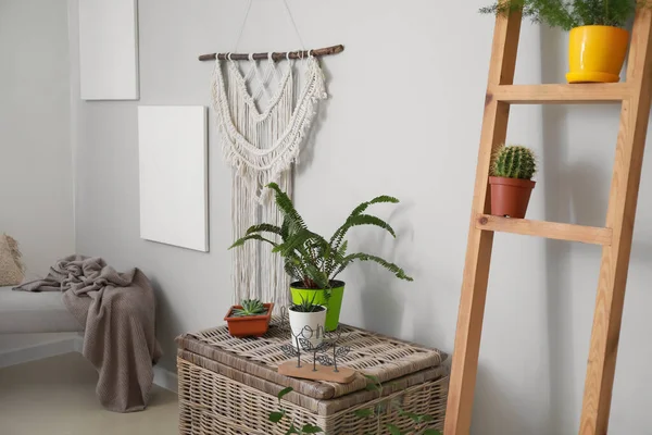 Elegante interior de la habitación con hermosas plantas de interior — Foto de Stock