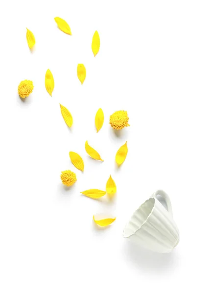 Beautiful composition with flower petals and cup on white background — Stock Photo, Image