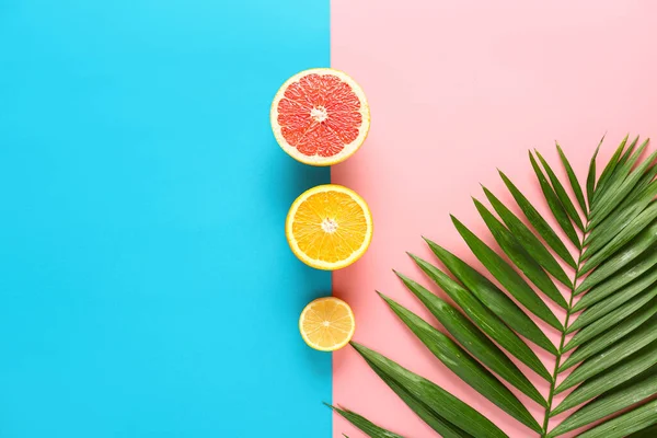 Agrumes doux avec feuille tropicale sur fond de couleur — Photo